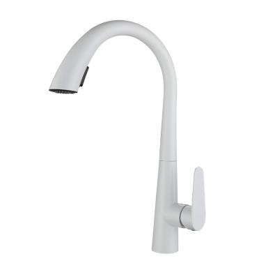 China And Cold Of The Other White Swan Pull Hot SUS304 Stainless Steel Kitchen Faucet Hidden Pull Booster Faucet Sink for sale