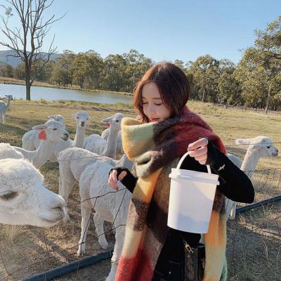 China Factory Direct Sales New Acrylic Fashion Retro Big Long Thick Cashmere Wool Tassel Shawl Wrap Plaid Scarf for sale