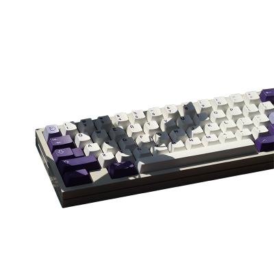 China Cross Shaft Body On The Aftermarket Mechanical Keyboard White Purple Keycaps Compatible With Cross Axis Body Five-sided Dye Sublimation for sale