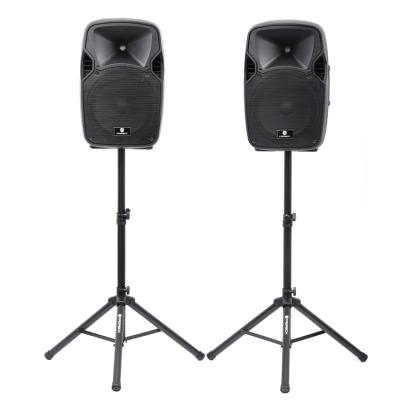 China No Audio Loud OEM Black 150W High Quality Plastic Cabinet Speaker for sale