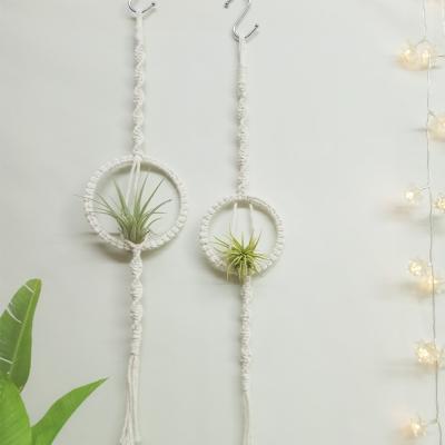 China 1 PCS Air Plant Hanger Traditional Handmade Cotton Rope Air Plant Hanging Racks for Home Decor for sale