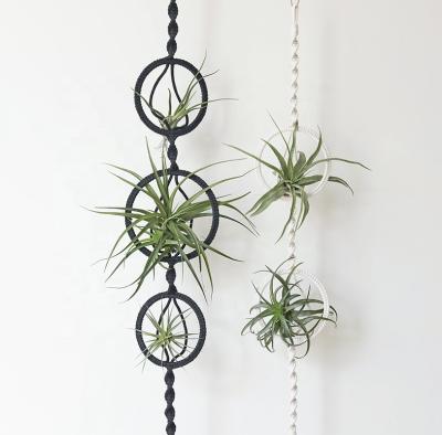 China Traditional Amazon Vends New-Handmade Cotton Rope Macrame Air Plant Holders Black for sale