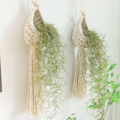 China 2021 Traditional Boho Decor Macrame Plant Hangers Hanging Air Plants Racks for sale