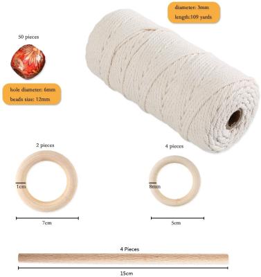 China Rustic DIY Plant Hangers Kits to Get Started with Macrame Rope 3mm x 109 yards for sale