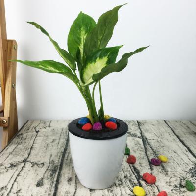 China Self Watering Modern Decorative Gardening Pot With Drainage And Saucer For Outdoor, Indoor, Herbs, Foliage Plant for sale