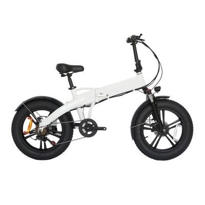 China Factory Wholesale Ebike 500W Cheap Aluminum Alloy Snow Tire 20