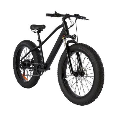 China Aluminum Alloy Most Popular 48V 9.6A Electric Bicycle Snow 26Inch Fat Big Tire For Men for sale