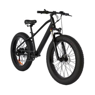 China New Arrival 48V 9.6A Aluminum Alloy High Quality Fat Men's Electric Snow Bike for sale