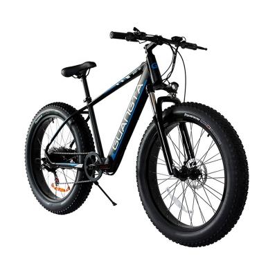 China Aluminum Alloy Factory Direct 48V 15A Snow 26Inch Aluminum Tire Ebike 1000W Wholesale for sale