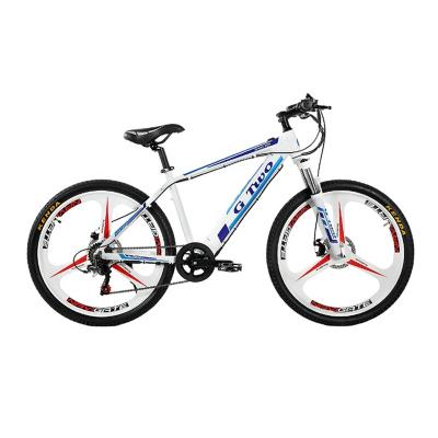 China Aluminum Alloy 250 Watt New Arrival 36V 9A Lithium Battery Electric Mountain Bicycle E-Bike for sale