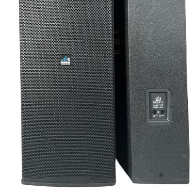 China No Top Quality Contemporary OEM Accept 15-Inch Audip Dual Speakers Outdoor Performance for sale