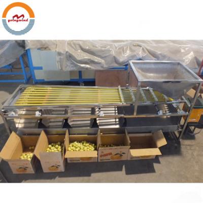 China Automatic Berry Areca Nut Size Sorting Machine Automatic Industrial Areca Nut Grading Machine Betel Nut Sizing Sorter Grader Cheap Price For Sale for sale