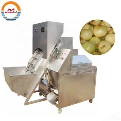 China Automatic commercial automatic onion peeling machine industrial continuous dry onion peeling equipment china cheap price for sale for sale