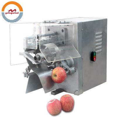 China Commercial automatic industrial electric fruit apple peeler machine hollow puncher and apple peeler slicer equipment price for sale for sale