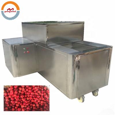 China Commercial Olive Automatic Cherry Seed Removing Solvent Automatic Industrial Pitter Stoner Storing Machine Cherries Cheap Price For Sale for sale