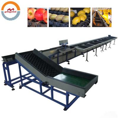 China Fruit and vegetable automatic tomato sorter and grader automatic tomato weight sorting and grading line machinery equipment cheap price for sale for sale