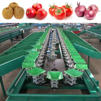 China Industrial Automatic Fruit Grader Machine Small Scale Fruit Processing Plant Automatic Fruit Weight Sorter Classify Sort Grading Line Price For Sale for sale