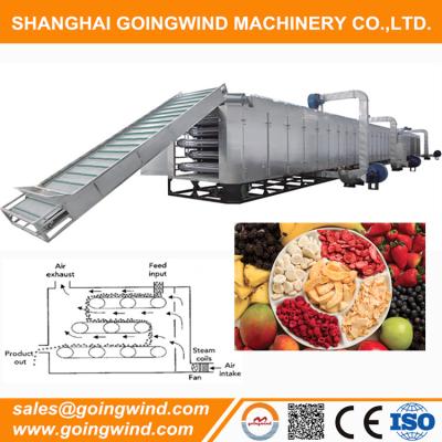 China Fruit automatic vegetable dehydration plant equipment automatic fruit production line for sale with cheap price for sale