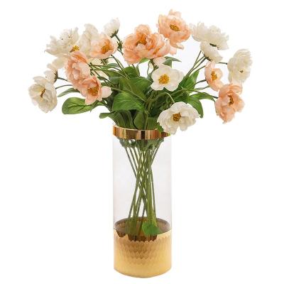 China Contact wholesale price natural poppies flowers for home decoration for sale