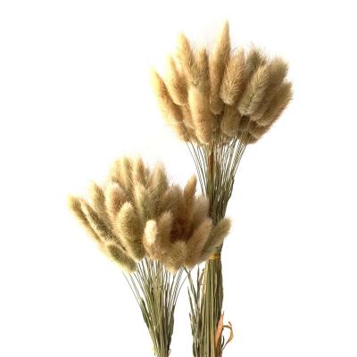 China Vulpine Dry Grass Natural Touch Original Color For Home Decor for sale