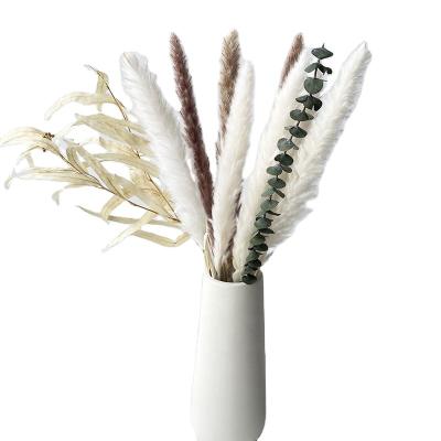 China Natural Touch Dried Pampas Grass Preserved Flower Artificial Flower Bunches For Home Decor for sale