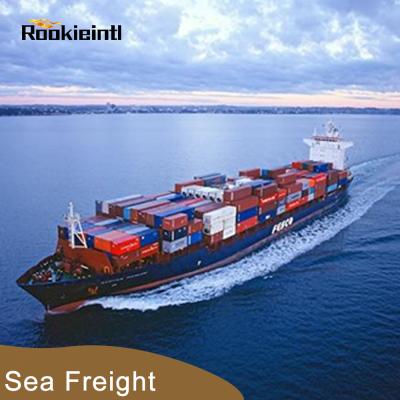 China Economic air and sea transportation is fast and convenient to Canada, Australia, USA and other countries Rookieintl-011 for sale