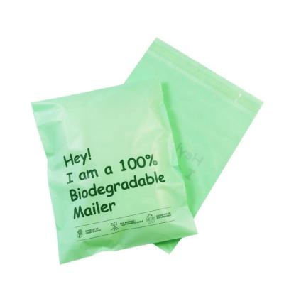 China Eco-friendly/Non-Toxic/Strong Durable/Lightweight Plastic Biodegradable Mailing Mailer Mailer Clothes Envelopes Custom Logo Matte Shipping Poly Bag for sale