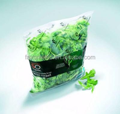 China BIODEGRADABLE Printing Cheap Fresh Vegetables Packaging Plastic Bag for sale