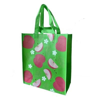 China Handled Double Handles Large Sizes Laminated Non-Woven Tote Bag Woven Tote Shopping Bag Custom Embroidery Logo On Handles for sale