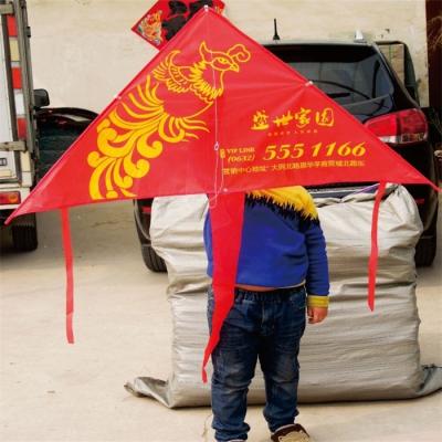 China Custom Polyester Advertising Promotion Triangle State Kite Logo Kites for sale