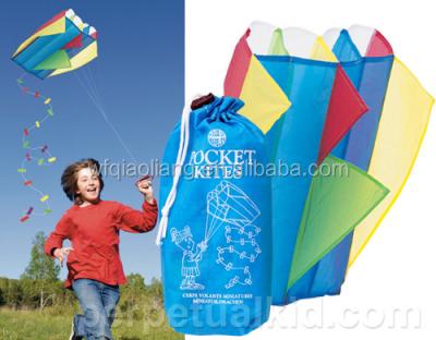 China Huge Polyester Rainbow Kite For Kids for sale