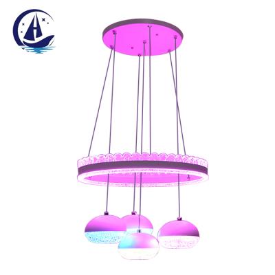 China Beautiful Vintage Dining Room Pendant Lighting Double Color LED Chandelier Pendant Lamp for sale