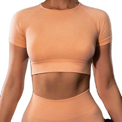 China Antibacterial Short Sleeve Top Seamless Shorts Crop Top And Yoga Pants Yoga Set for sale