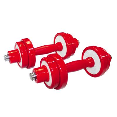 China Cast Rubber Covered Dumbbell Training Equipment Power Gym Dumbbell Free Weights for sale