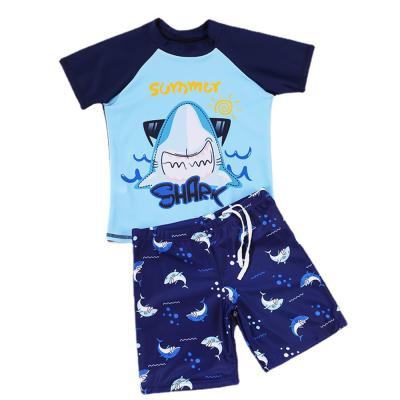 China Breathable Hot Style 3 Pieces Toddler Boy Swimming Suit Beach Wear for sale