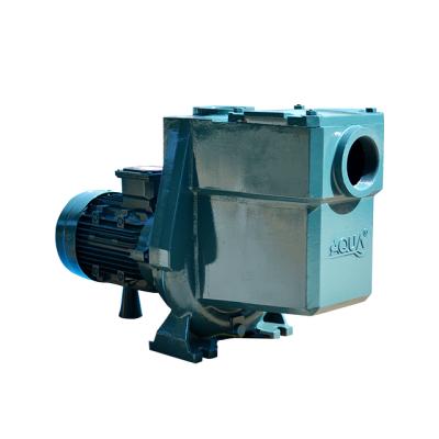 China Pool Water Pump AQUA High Temperature Resistance AT550 Pool Filter Pump AT400 Series High Power Cast Iron Main Circulation Pump for sale