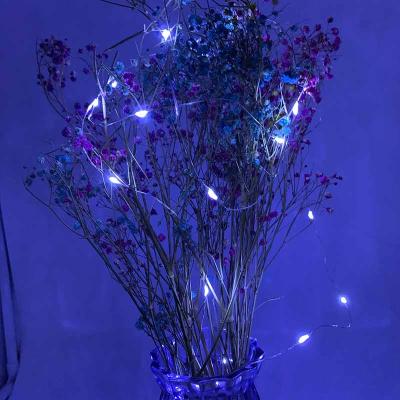 China Outdoor Decoration Battery Operated Waterproof Fairy String Lights 2M Copper Wire Christmas Lights for sale