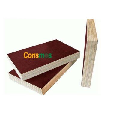 China Building Construction Water Resist Film Faced Plywood Buyer / Marine Film Faced Plywood for sale