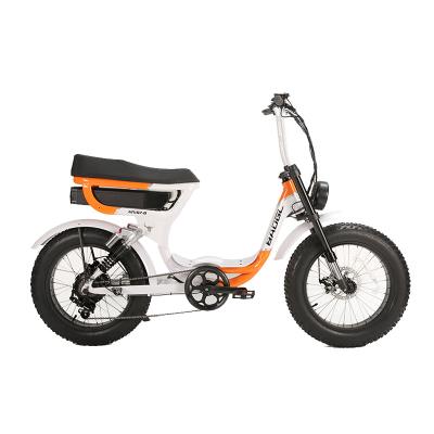 China Newest model aluminum alloy big capacity 1000w battery 1000w female electric hybrid bafang motor 73 tire ebike fat for sale