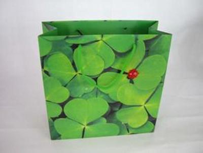 China Multi Purpose Green Colorful Jewelry Paper Bags with Flexo / Hot Stamping Printing for sale