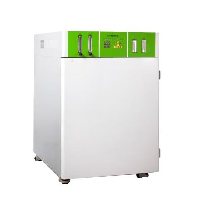 China 50l/80l/160l Lab Equipment Carbon Dioxide Incubator CO2 Incubators Wj-2 Cheap Price for sale