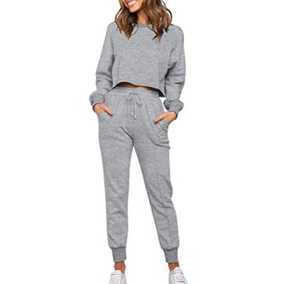 China Others T533 Women's Others Free Shipping Autumn Winter Casual Sport Suit Soft Solid Long Pants Loose Two Piece Sports Suit for sale