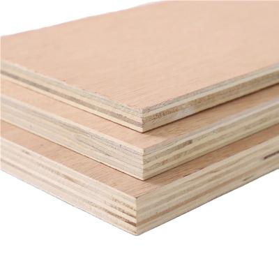 China Modern special hot selling structural natural pallet plywood panels for sale for sale