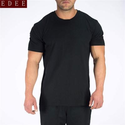 China Wholesale Antibacterial Hot Sale High Quality Men's Workout Comfortable Fitness T-shirt Clothing for sale