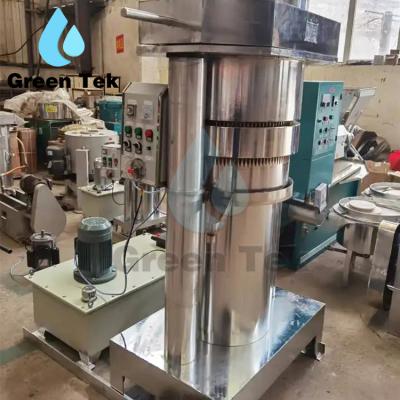 China GreenTek 2023 High Yield Efficiency Automatic Cold Oil Press Sunflower Palm Corn Oil Extractor Rapeseed Coconut Oil Press Machine for sale