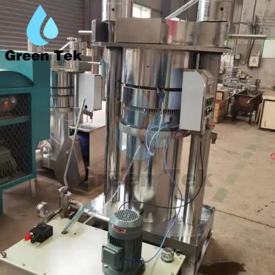 China GreenTek 2023 High Yield Efficiency Automatic Cold Oil Press Sunflower Palm Corn Oil Extractor Rapeseed Coconut Oil Press Machine for sale