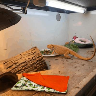 China 3pcs Stocked One Placed Bearded Dragon Sleeping Bed for Animals Chameleons Hamster Lizard Leopard Gecko Reptile Cubs for sale