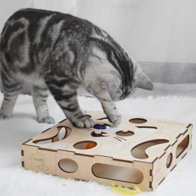 China Viable Newcomer Non-Toxic Hunting Seeking Seeking Skill Training Plywood Puzzle Box Interactive Maze Cat Toy for sale