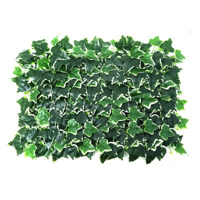 China Natural Touch Foliage Ivy Screen Leaf Fence Artificial Green Wall For Garden Decoration for sale