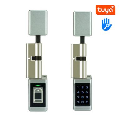 China Home office hotel apartment keyless waterproof ttlock and tuya app smartlock door locks fingerprint electronic biometric cylinder lock door candado for sale